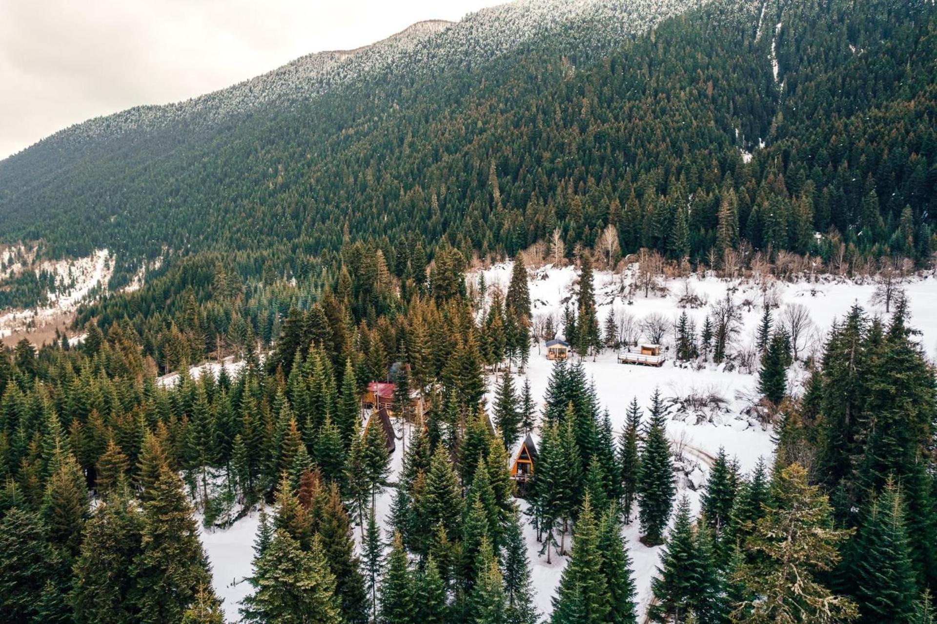 Bude Mestia Cottages Zewnętrze zdjęcie