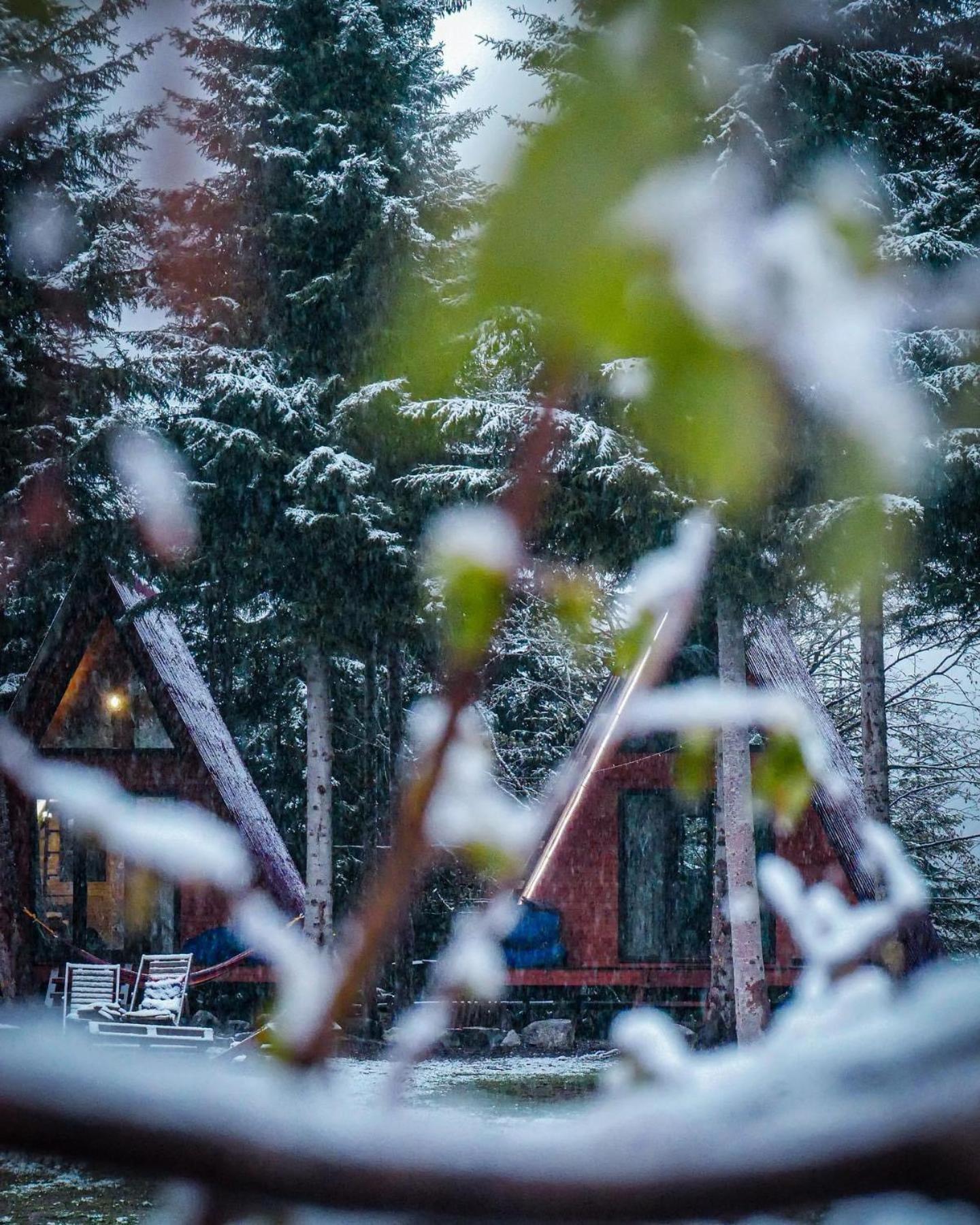 Bude Mestia Cottages Zewnętrze zdjęcie