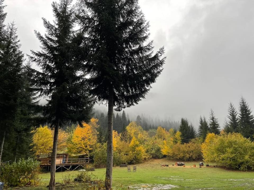 Bude Mestia Cottages Zewnętrze zdjęcie