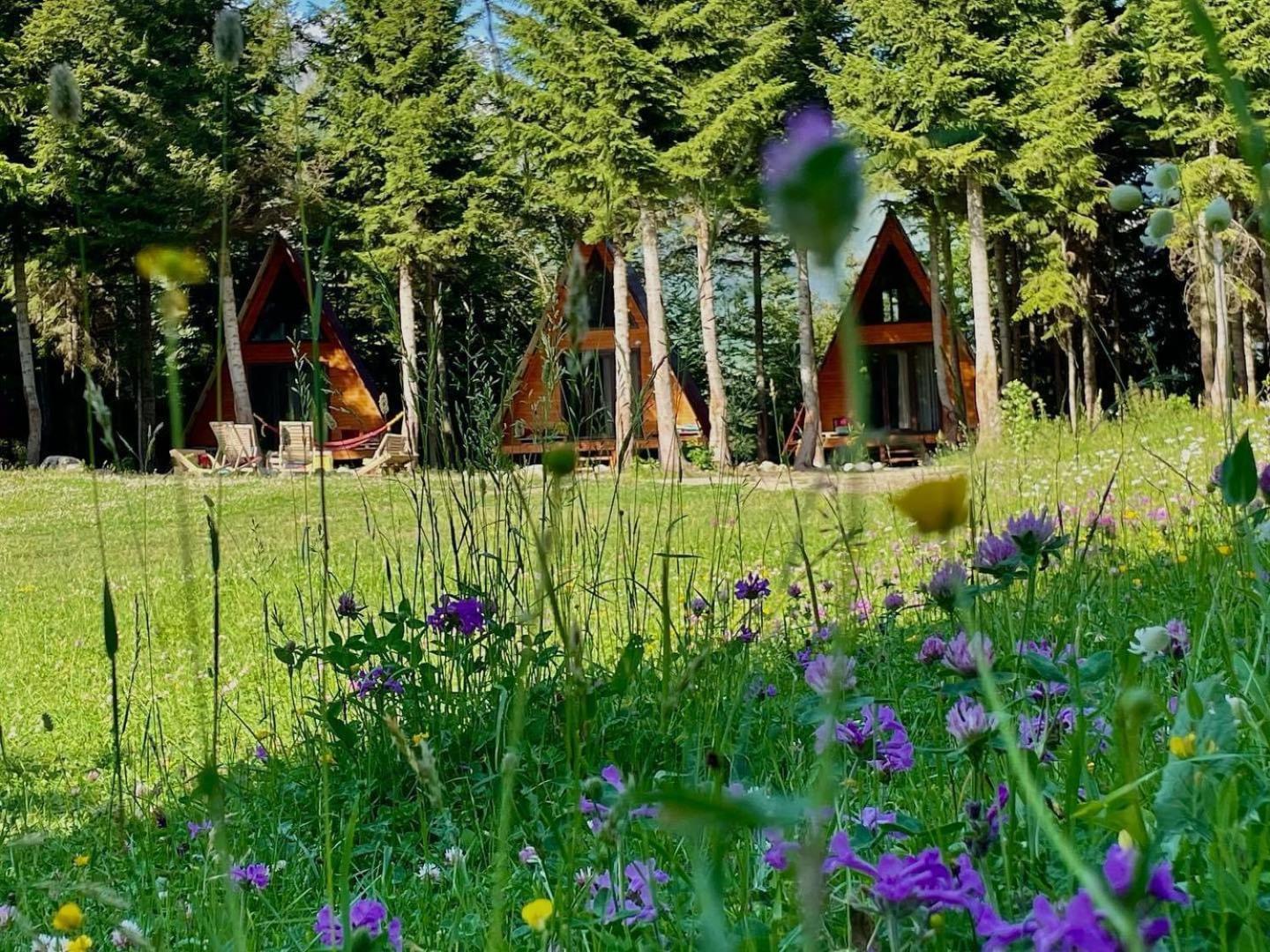 Bude Mestia Cottages Zewnętrze zdjęcie