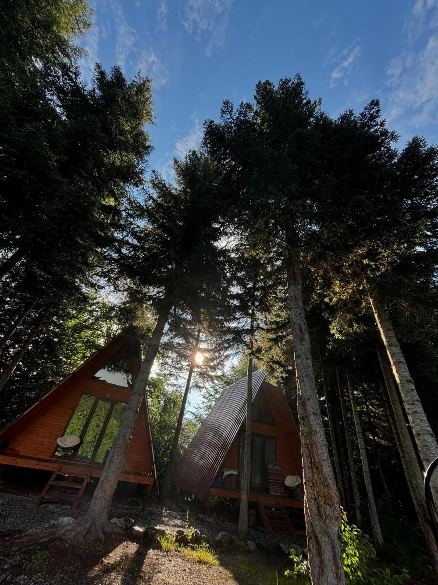 Bude Mestia Cottages Zewnętrze zdjęcie